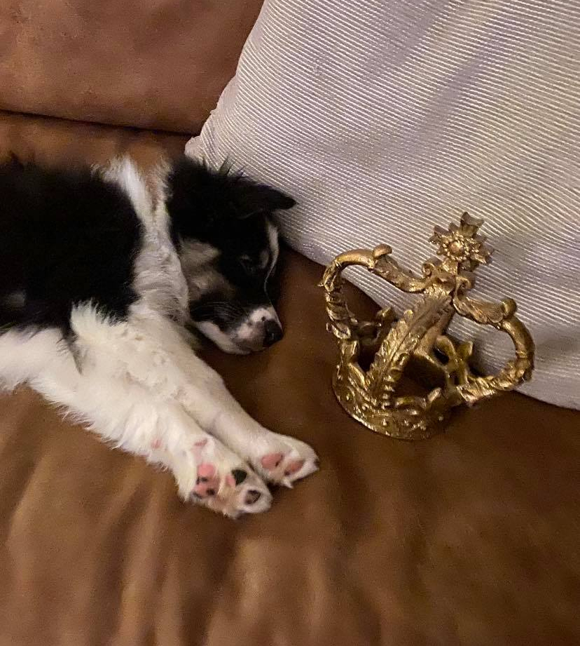 Lucy